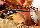 Fall Ball Baseball Signups